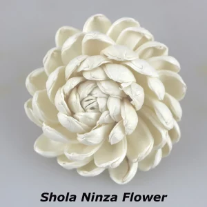 Sola Flowers